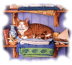 Gatto 11